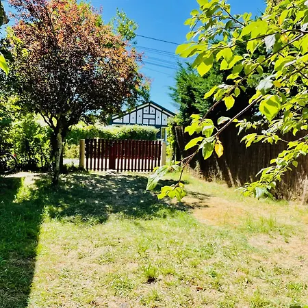 Charmante Maison Authentique, Proche Bassin Prázdninový dům *