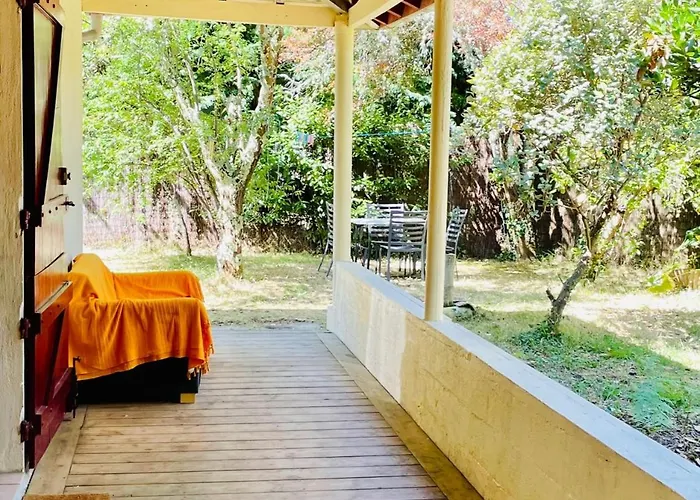 Charmante Maison Authentique, Proche Bassin Feriehus